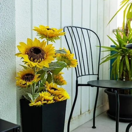 Blue Salinas Apartamento